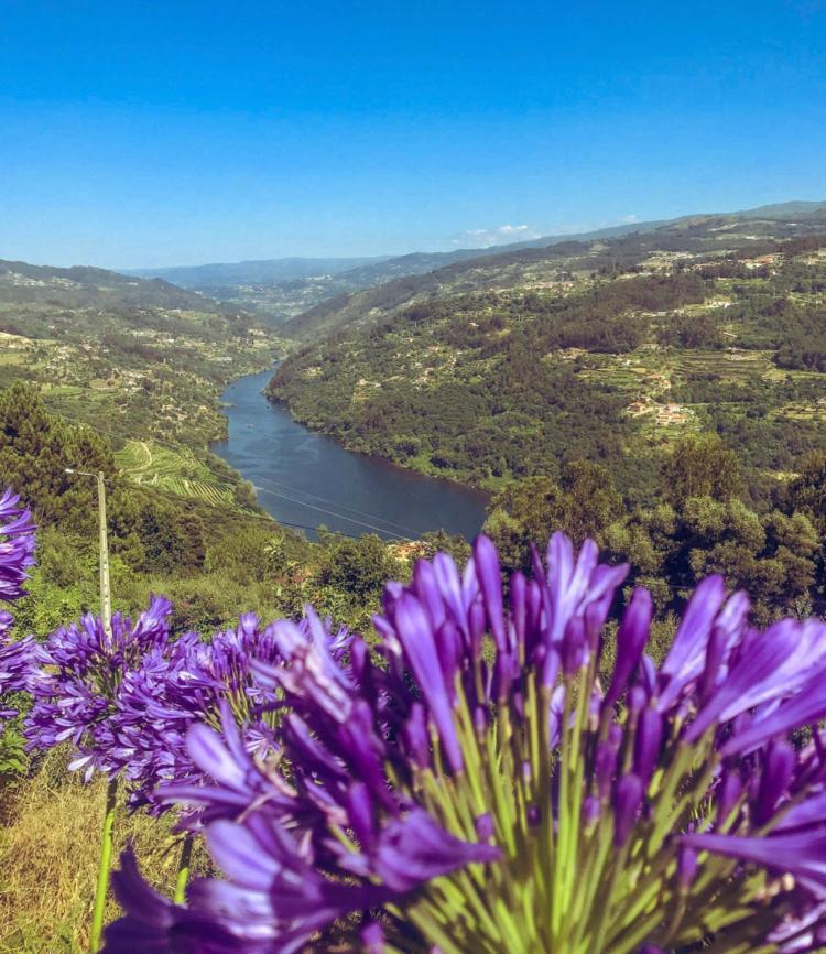 Mira Douro Valley Home Marco de Canavezes Exterior foto